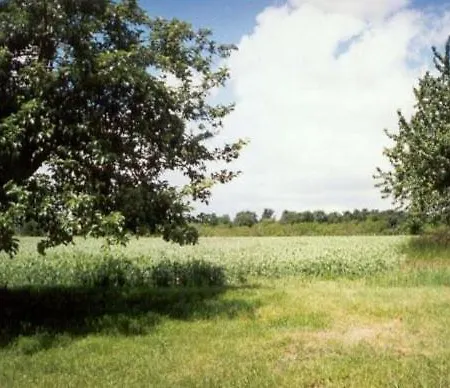 La Laverie *